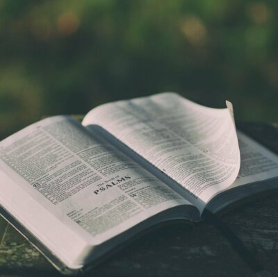 Bible ouverte sur les psaumes